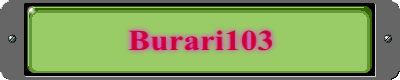 Burari103