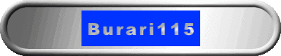 Burari115