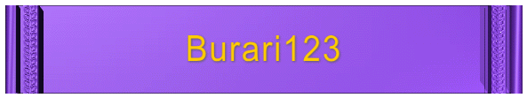 Burari123