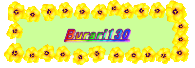 Burari130 