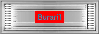 Burari1 