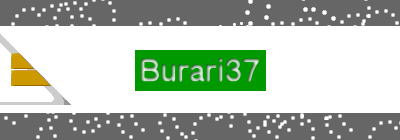 Burari37