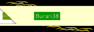 Burari38