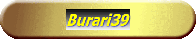 Burari39