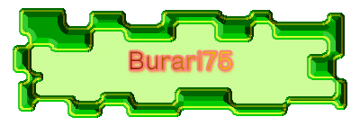 Burari75 