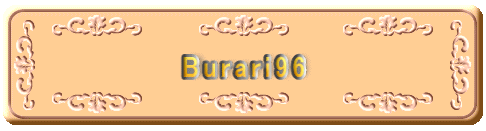 Burari96
