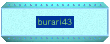 burari43 