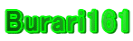Burari161