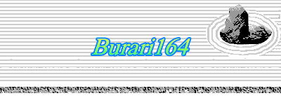Burari164