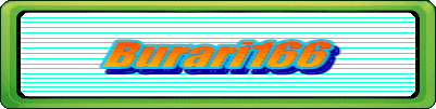 Burari166