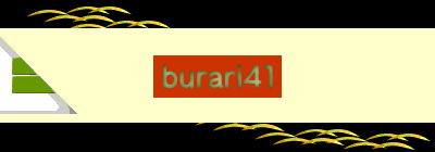 burari41 