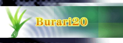 Burari20